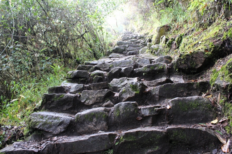 Мачу Пикчу и Каньон Колка. Видео + Фото