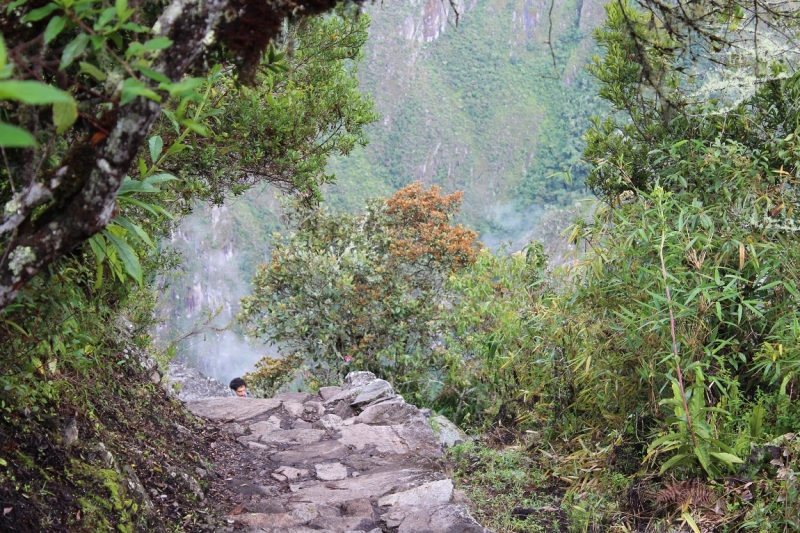 Мачу Пикчу и Каньон Колка. Видео + Фото