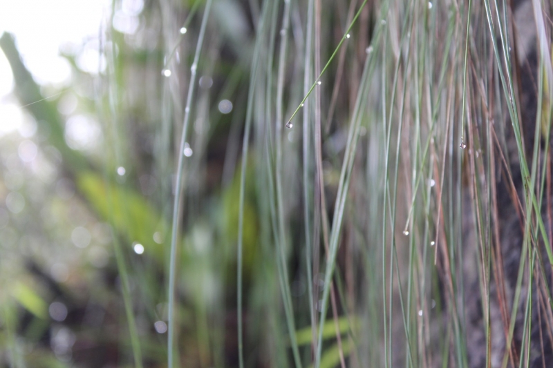 Мачу Пикчу и Каньон Колка. Видео + Фото