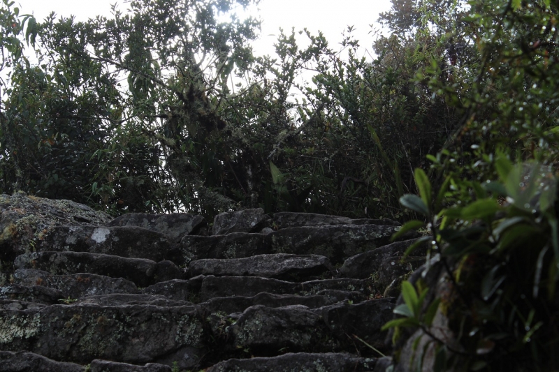 Мачу Пикчу и Каньон Колка. Видео + Фото