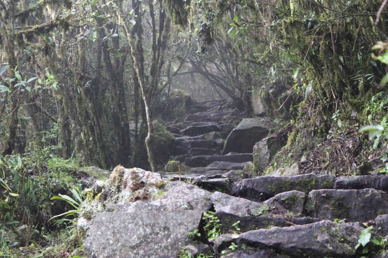 Мачу Пикчу и Каньон Колка. Видео + Фото