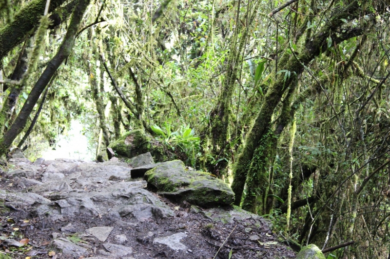 Мачу Пикчу и Каньон Колка. Видео + Фото