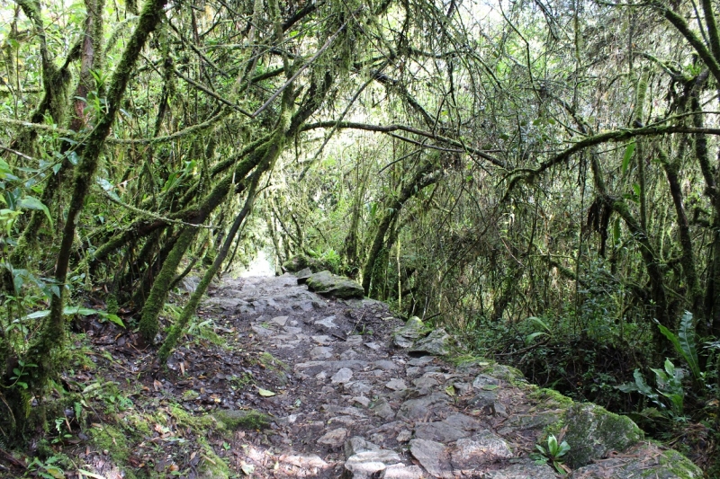 Мачу Пикчу и Каньон Колка. Видео + Фото