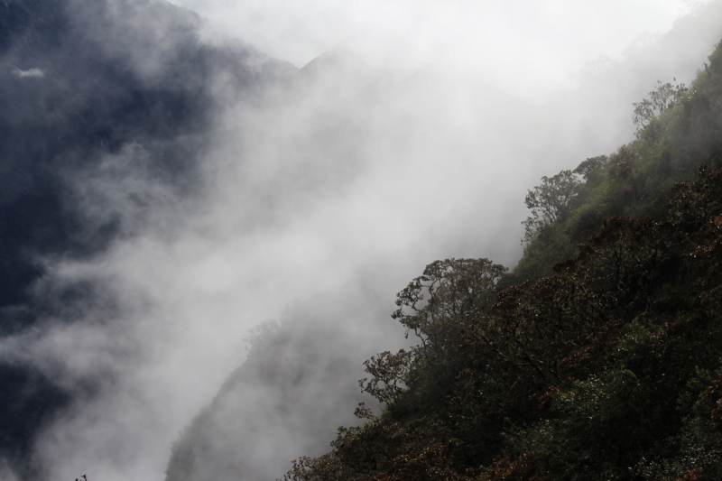 Мачу Пикчу и Каньон Колка. Видео + Фото