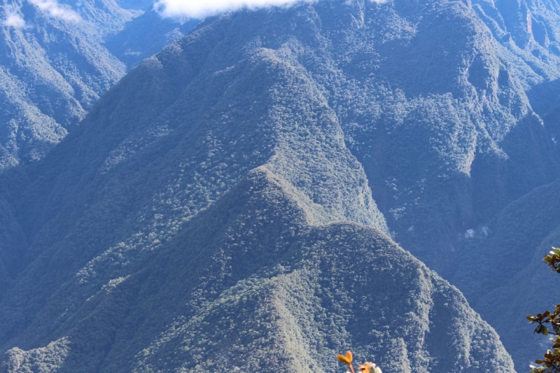 Мачу Пикчу и Каньон Колка. Видео + Фото