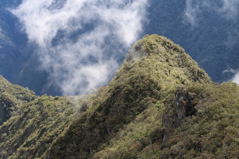 Мачу Пикчу и Каньон Колка. Видео + Фото