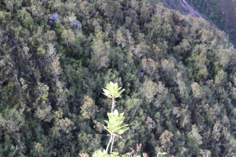 Мачу Пикчу и Каньон Колка. Видео + Фото