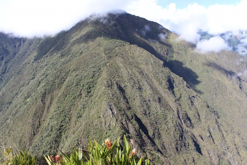 Мачу Пикчу и Каньон Колка. Видео + Фото