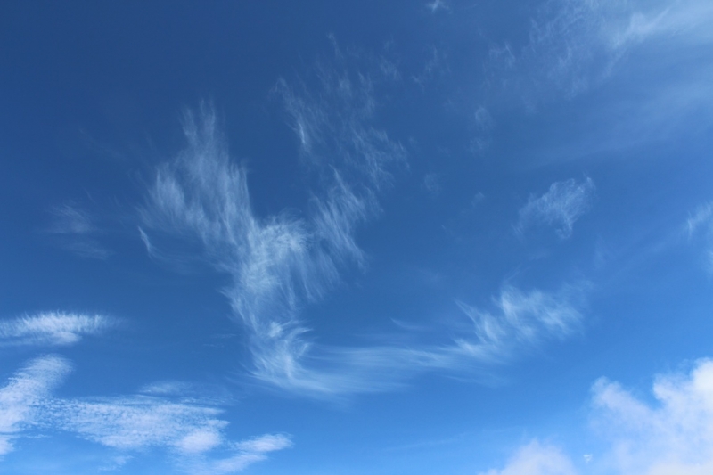 Мачу Пикчу и Каньон Колка. Видео + Фото