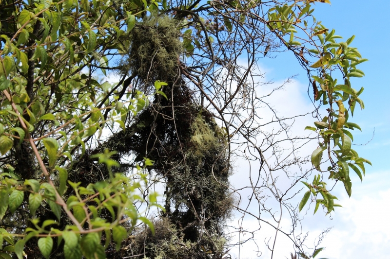 Мачу Пикчу и Каньон Колка. Видео + Фото