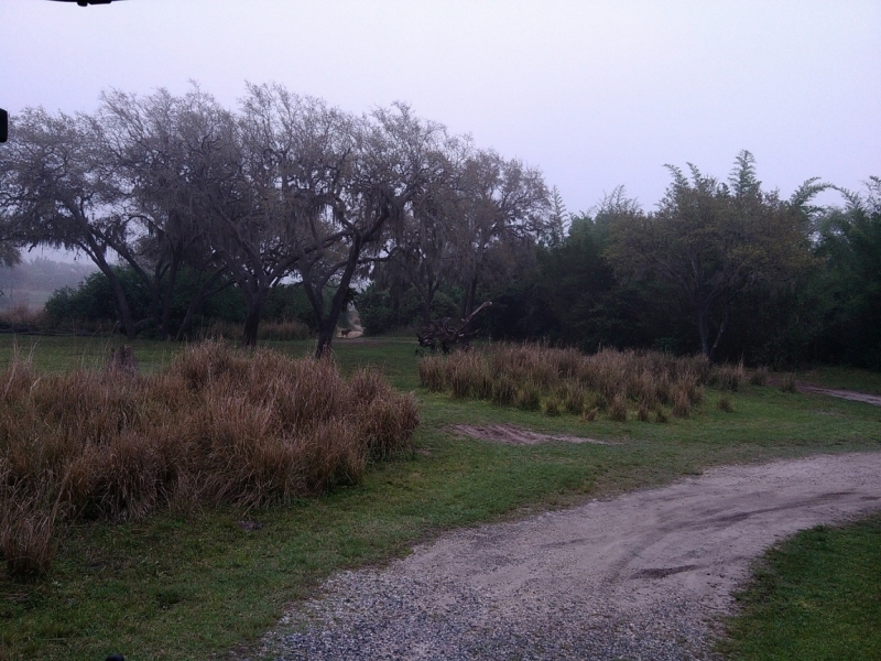 США. Флорида+Багамы. Южная классика  для начинающих.