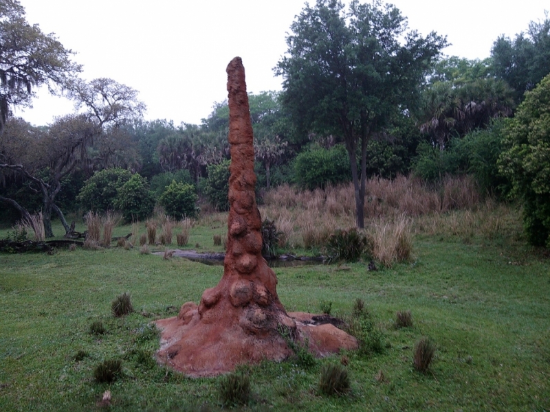 США. Флорида+Багамы. Южная классика  для начинающих.