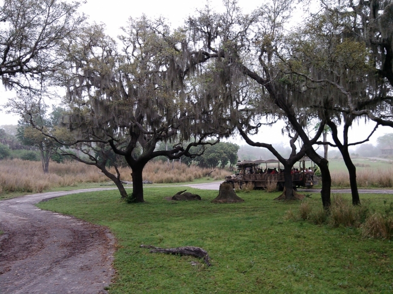 США. Флорида+Багамы. Южная классика  для начинающих.