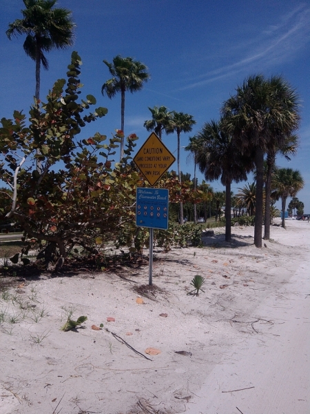 США. Флорида+Багамы. Южная классика  для начинающих.