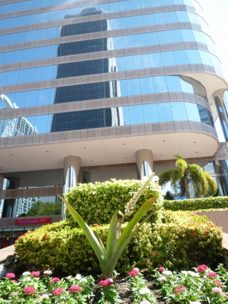 Две трансатлантики + 2 круиза и зимовка: Карибы, ноябрь 2014 – апрель 2015