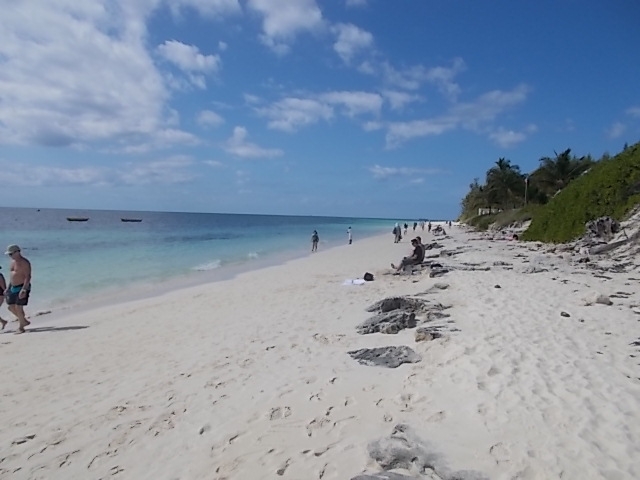 США. Флорида+Багамы. Южная классика  для начинающих.