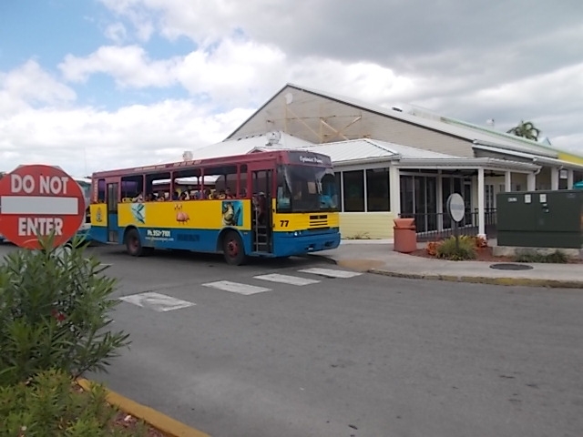 США. Флорида+Багамы. Южная классика  для начинающих.