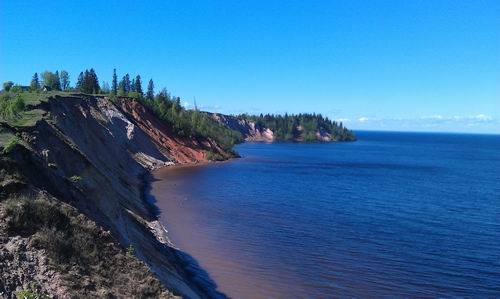 Динозавр в Петроглифах!