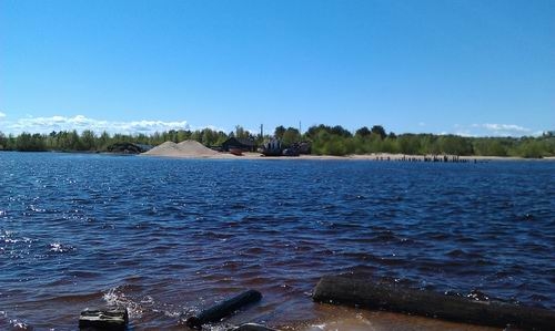 Динозавр в Петроглифах!