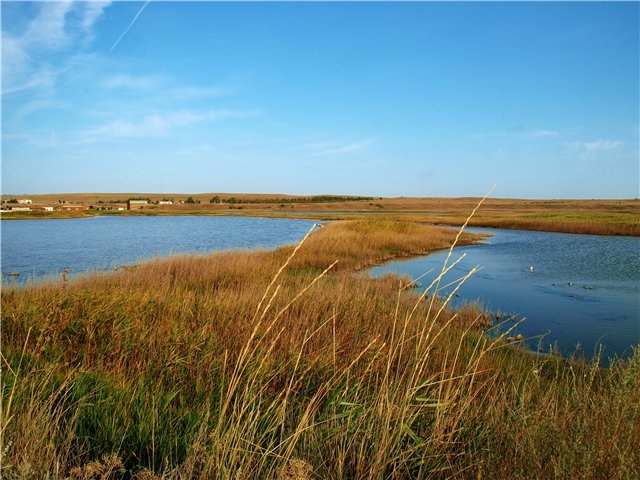 Первый раз отдыхали в России ))) Азовское море + Абрау-Дюрсо