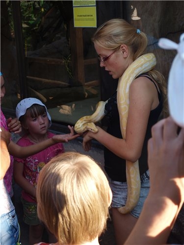 Первый раз отдыхали в России ))) Азовское море + Абрау-Дюрсо