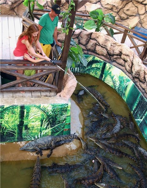 Первый раз отдыхали в России ))) Азовское море + Абрау-Дюрсо