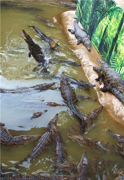 Первый раз отдыхали в России ))) Азовское море + Абрау-Дюрсо