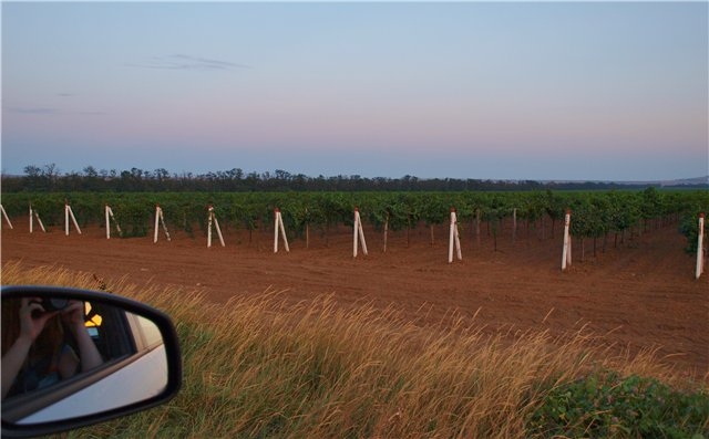 Первый раз отдыхали в России ))) Азовское море + Абрау-Дюрсо