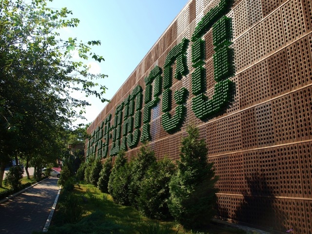 Первый раз отдыхали в России ))) Азовское море + Абрау-Дюрсо