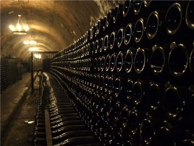 Первый раз отдыхали в России ))) Азовское море + Абрау-Дюрсо