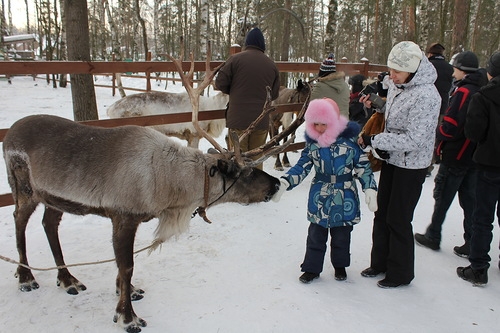 Егорьевск и Оленья ферма.