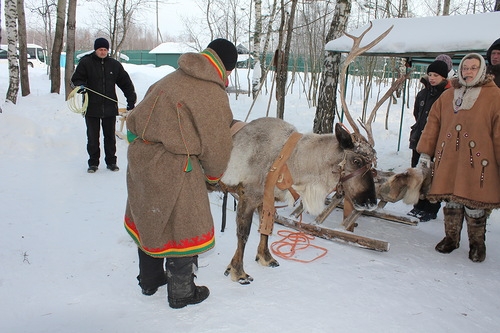 Егорьевск и Оленья ферма.