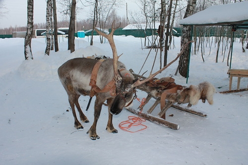 Егорьевск и Оленья ферма.
