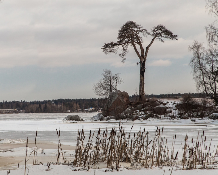 Выборг : кусочек Европы в Ленинградской области
