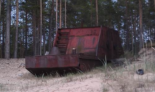 Динозавр в Петроглифах!