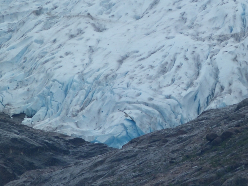 Скандинавские сезоны - июнь 2014 (Швеция - Норвегия до Нордкапа - финская Лапландия)