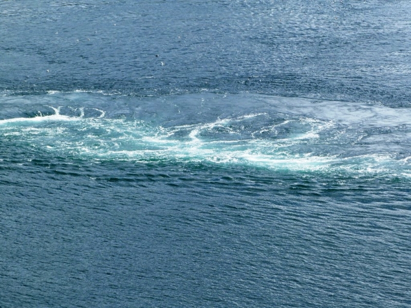 Скандинавские сезоны - июнь 2014 (Швеция - Норвегия до Нордкапа - финская Лапландия)