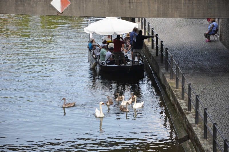 Сегодня Бад Киссинген, завтра Нюрнберг, послезавтра Ротенбург...