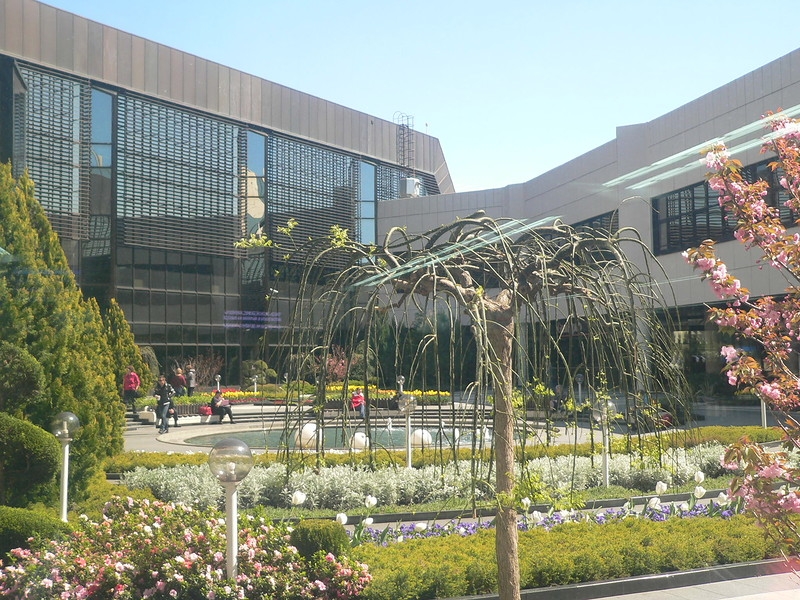 Сочи. Апрель 2015.