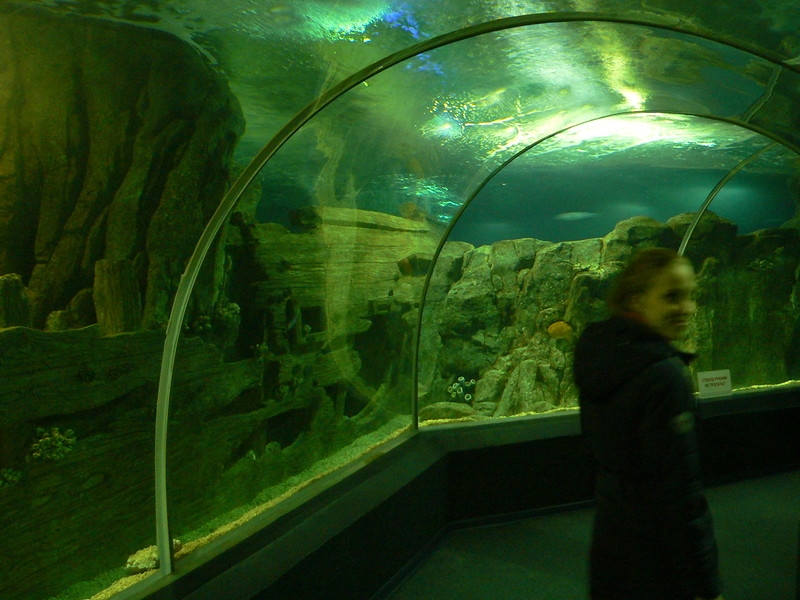 Сочи. Апрель 2015.