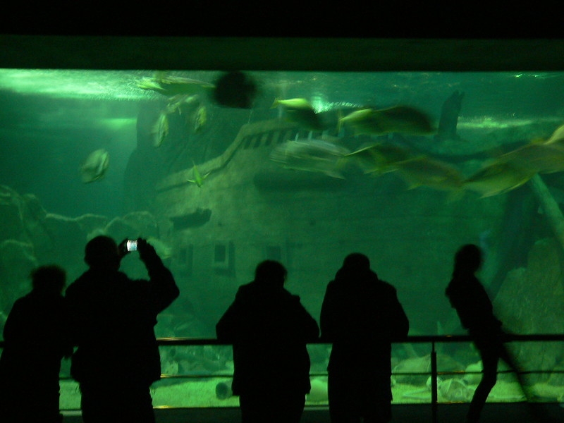 Сочи. Апрель 2015.