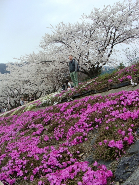 Немного современного искусства и классических садов японской весной