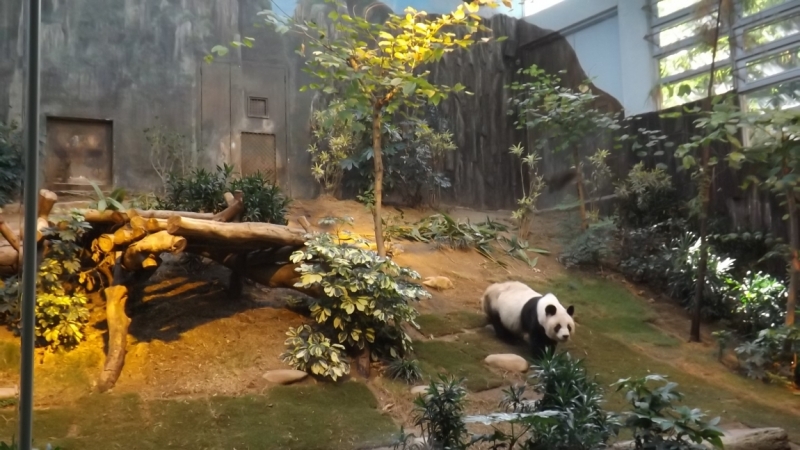 Филиппины февраль 2014: Гонконг-Эль-нидо - Бохол - Боракай