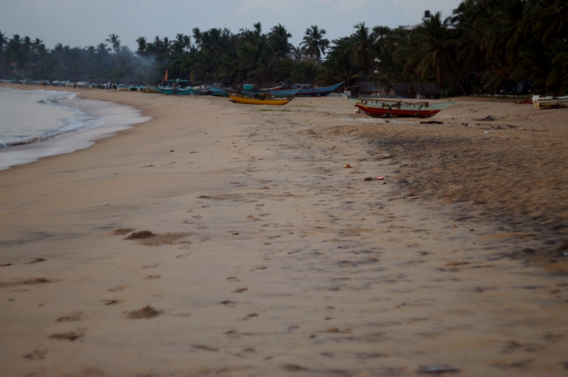 Шри Ланка впервые. 14 дней в апреле 2015.