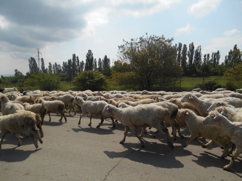 Я, Грузия и Надюшка. Романтические и гастрономические впечатления