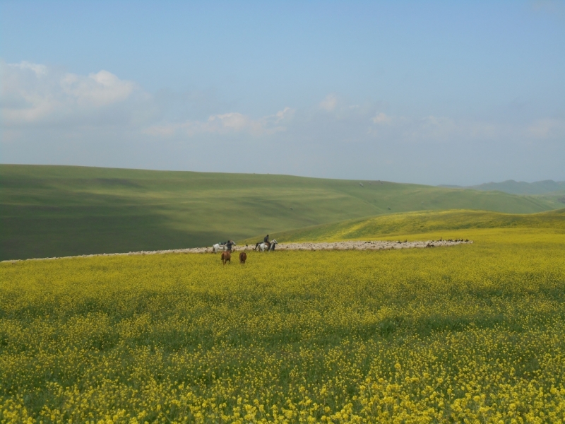 Я, Грузия и Надюшка. Романтические и гастрономические впечатления