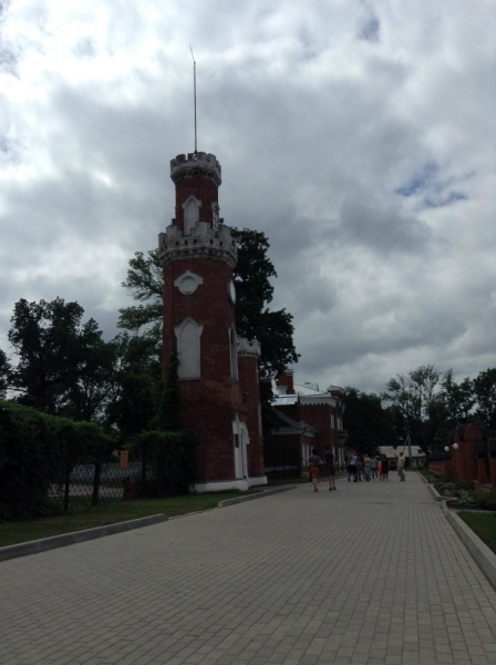 В гости к котенку на улицу Лизюкова сквозь облака тополиного пуха. Воронеж Май 2015