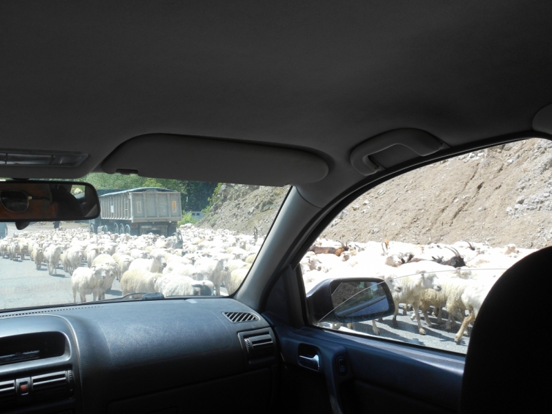 Я, Грузия и Надюшка. Романтические и гастрономические впечатления