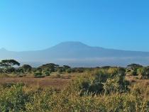 Килиманджаро