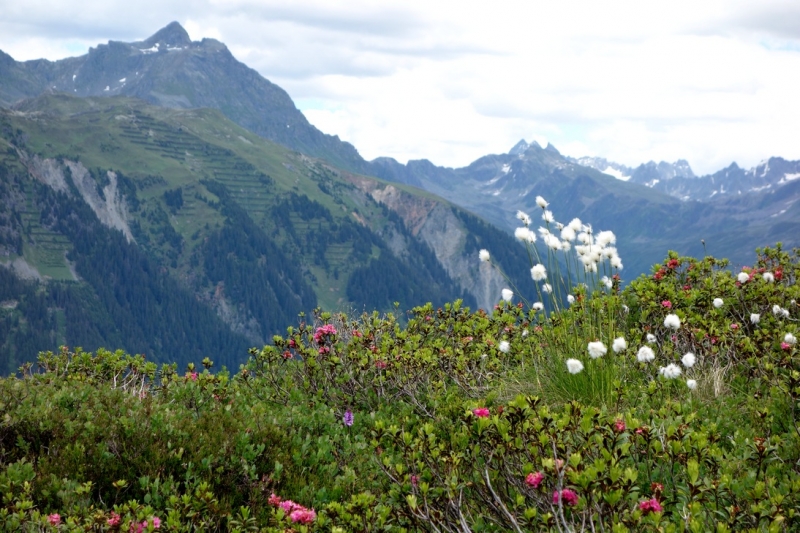 Земля Форарльберг (Bundesland Vorarlberg)